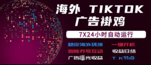 海外TikTok挂G流量变现，7X24自动运行，广告曝光收益，收益日结【揭秘】-网赚资源网