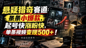 悬疑猎奇赛道:条条小爆款,起号快涨粉快,单条视频变现500+!收益仅供参考-网赚资源网
