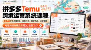 Temu跨境拼多多运营系统课程,零基础学会店铺搭建、风险评估、爆款选品、店铺管理,吃透跨境店铺日常核心运营工作-网赚资源网