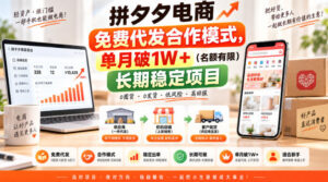 拼夕夕电商免费代发合作模式,单月破1W+(名额有限)长期稳定项目【揭秘】-网赚资源网