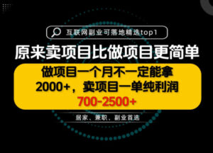 一单利润700-2.5K+,为什么我们要卖项目而不是做项目,我们普通人应该怎样开始?【揭秘】-网赚资源网