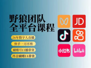 野狼团队2026新版全平台短视频带货教学,打开流量突破口,开始Ai带货(更新0903)-网赚资源网