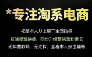 松鼠会电商VIP课程,从基础布局到高阶优化,助你掌握淘宝运营逻辑,提升店铺流量与转化(更新0823)-网赚资源网
