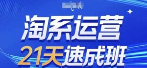淘系运营21天速成班,0基础轻松搞定淘系运营,不做假把式,快速复制落地(更新26年8月)-网赚资源网