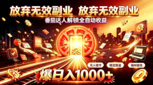 放弃无效副业,番茄达人解锁全自动收益,日入1k+,门槛最低的线上轻资产项目【揭秘】-网赚资源网