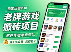 老牌游戏搬砖项目,超稳定可靠,软件作者亲自带队,当天见收益,支持验证【揭秘】-网赚资源网