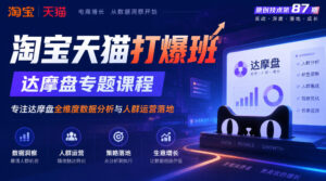 《淘宝天猫打爆班》原创技术第87期，达摩盘专题课程，专注达摩盘全维度数据分析与人群运营落地-网赚资源网