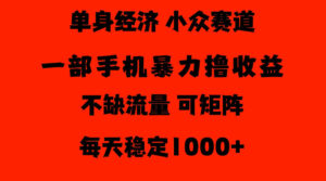 26年暴力单身经济,稳定日入500-1k,不缺流量,流量极大,冷门小众赛道,门槛低小白轻松上手【揭秘】-网赚资源网