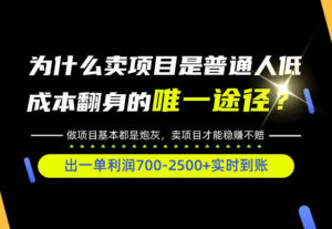 普通人如何靠互联网賺取自己的第一桶金！全类目实操型教学，看完你全都懂了！【揭秘】-网赚资源网