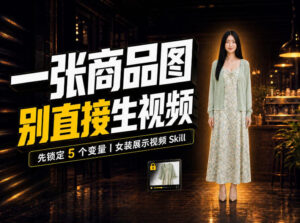 女装AI视频总翻车？问题不在提示词，女装展示视频Skill先锁定5个变量！-网赚资源网