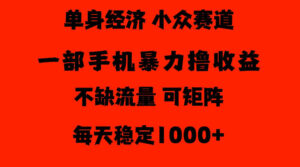 26年暴力单身经济，稳定日入500-1k，不缺流量，流量极大，冷门小众赛道，门槛低小白轻松上手【揭秘】-网赚资源网