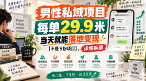 男性私域项目,每单29.9米,当天就能落地变现【不是S粉项目】,详细拆解-网赚资源网