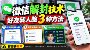 微信解封技术,好友转人脸3种方法,外来技术,有需要自测-网赚资源网