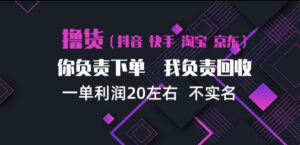 抖音淘宝快手买手项目,一单利润20左右,单号每天下三单,可矩阵【揭秘】-网赚资源网