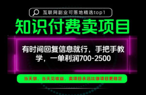 一单利润700-2.5k，有时间回信息就行，手把手带你做知识付费卖项目！一天稳定2-3单！【揭秘】-网赚资源网